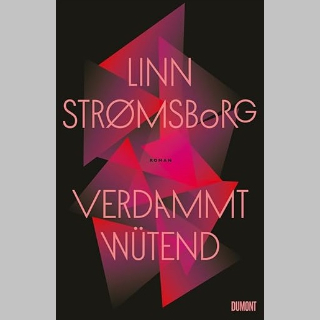 BOOK SHOT am Donnerstag, 20.2. um 10 Uhr: Valerie Springer stellt »Verdammt wütend« von Linn Strømsborg vor.