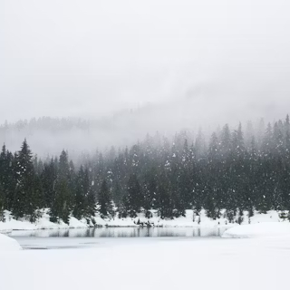 Gew weg, schlechte Laune! Schleich dich, Winter! Fr, 21.2.25, 15 h